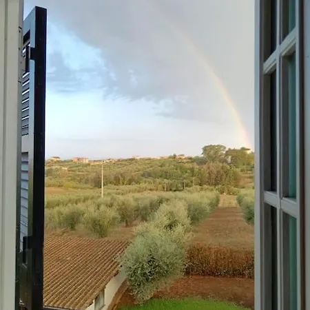 A Casa Di Mery - In Con Piscina * Cecchina